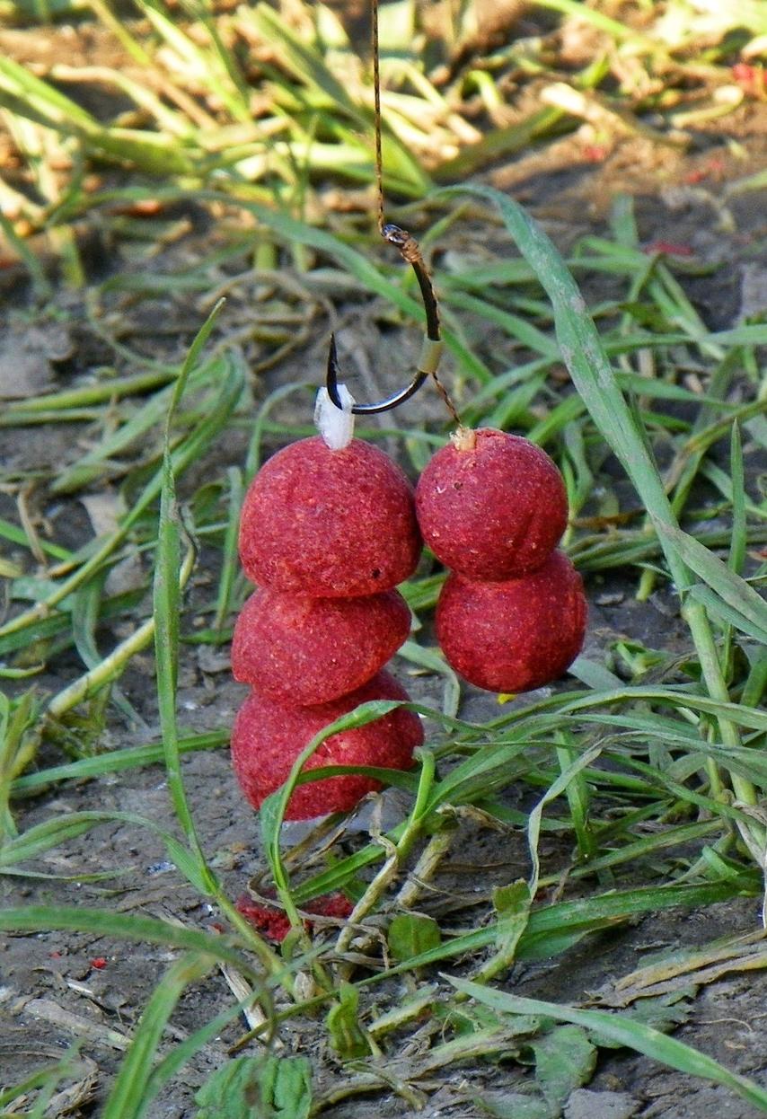 Crapmania (2) - 2011 - 1001255.JPG